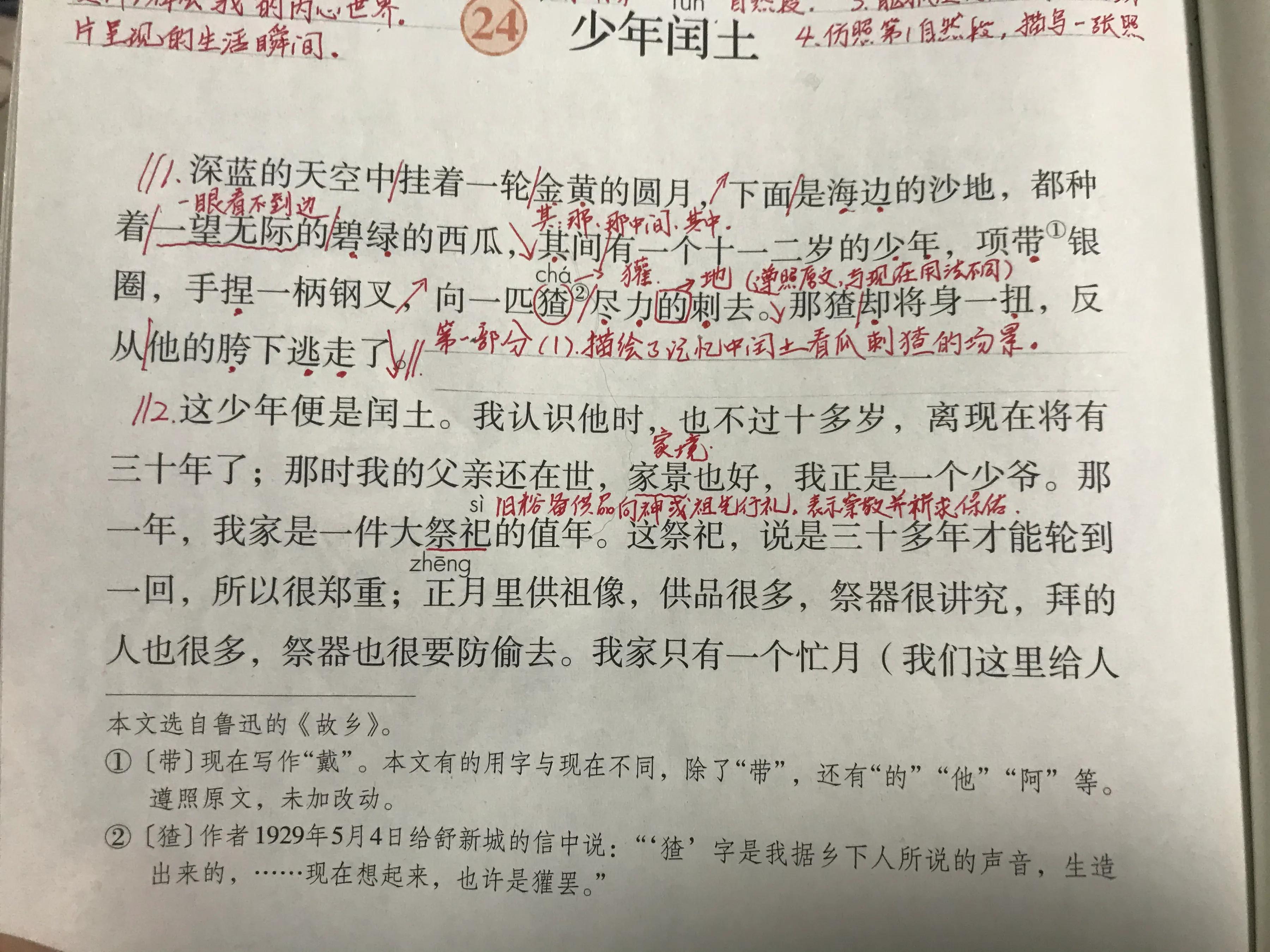 六年语文《少年闰土》，看资深教师讲解全文和课后题，知识点不少