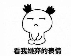 多年驾车体验：汽车顶棚使用心得分享
