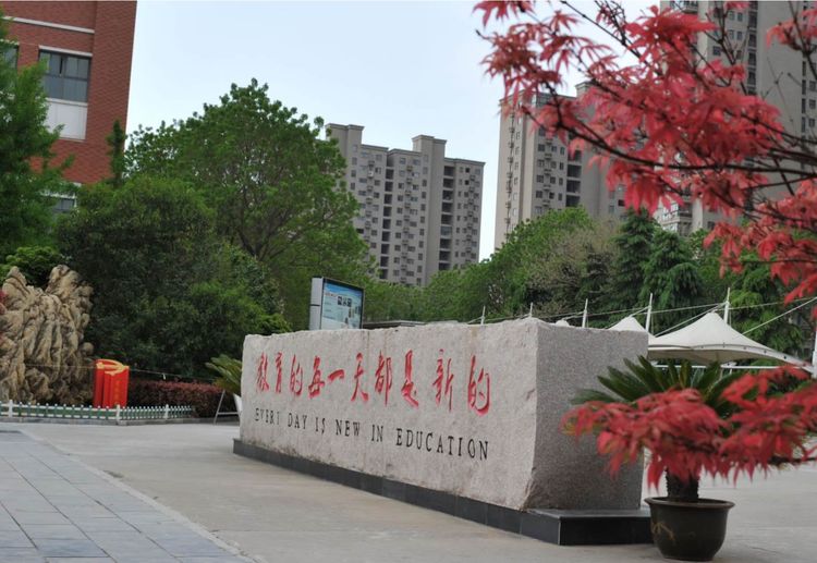 开发区实验学校：美矣美矣，开实芬芳“桃李”