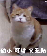 西安交通大学校历（定了）