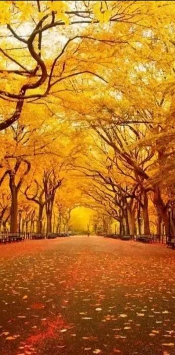 妈妈，我们总是把你藏在你的心里。