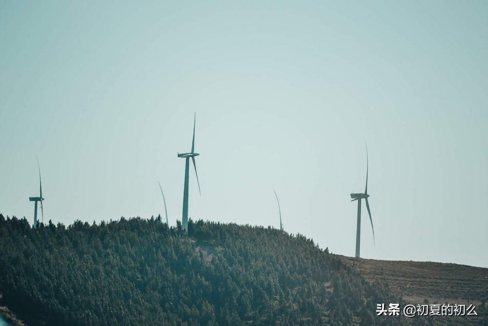 念念不忘的句子 | 心甘情愿这个词，真是又卑微又勇敢