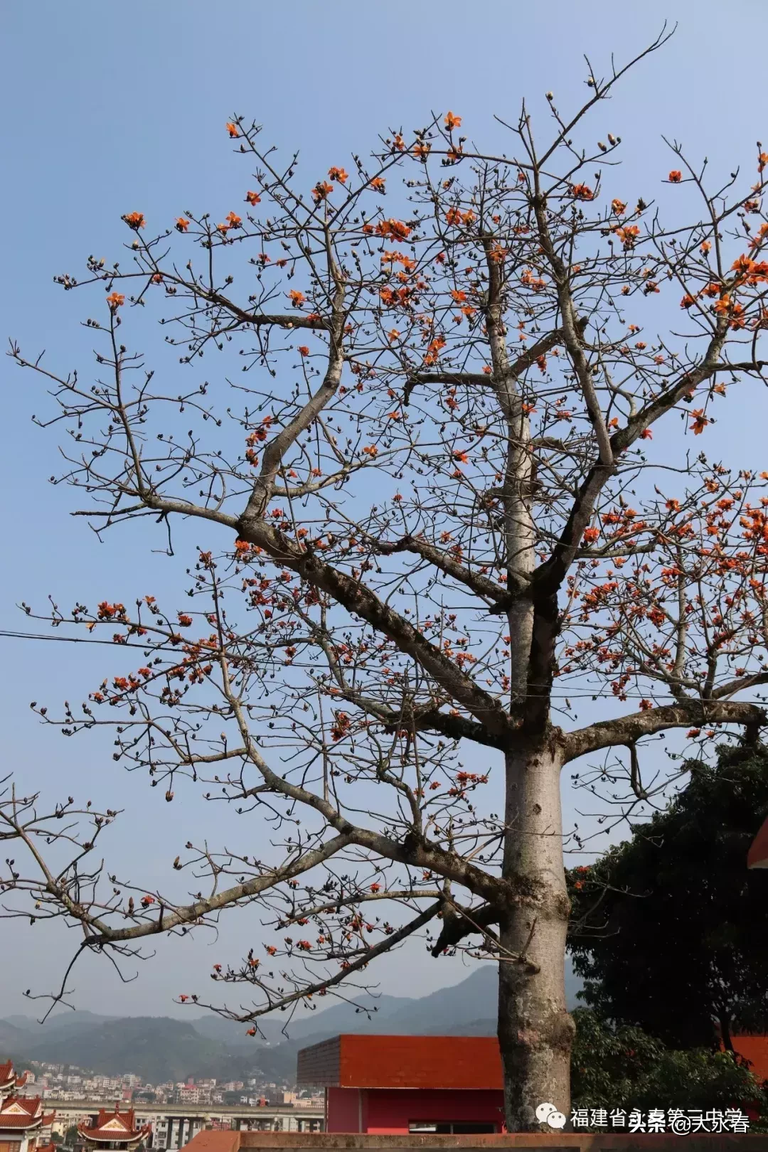 美哉！我们的永春三中