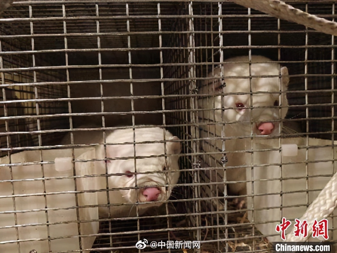 大学取快递难是受“黑恶势力”干扰？青岛工学院致歉【三分钟法治新闻全知道】