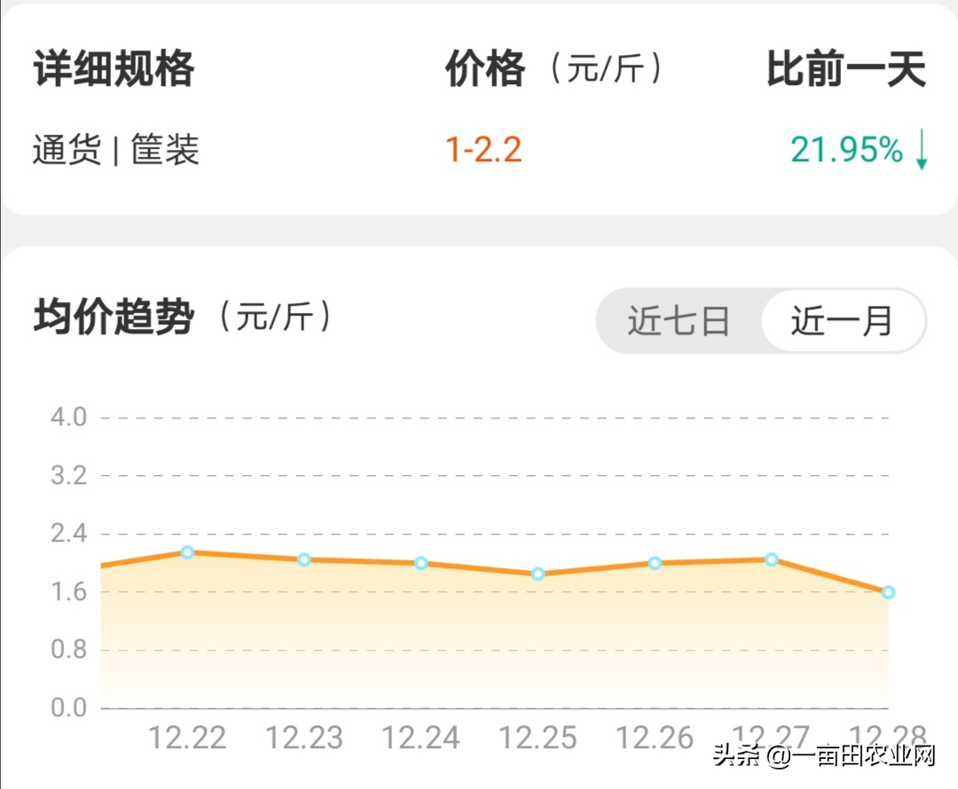 今日广西沙糖桔价格诩（今日广西沙糖桔价格）