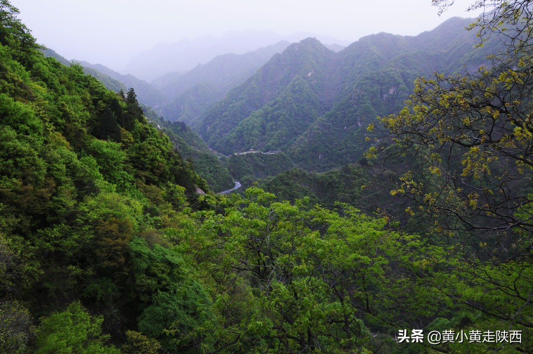 西安人最喜爱的秦岭避暑小镇，青山绿水美食多，往返不走回头路