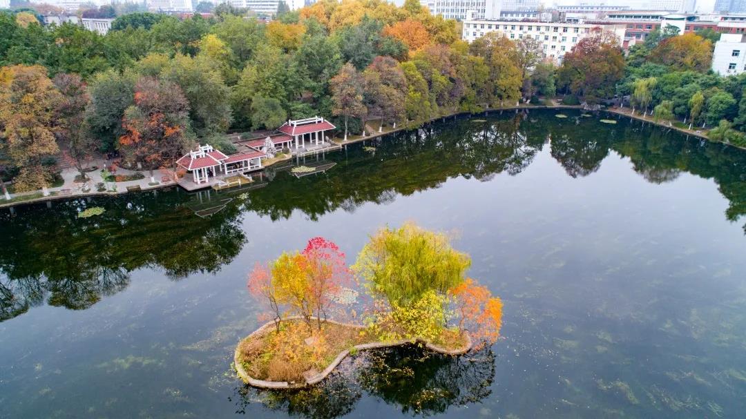 5大校区，占地超7千亩，图书馆藏书340余万册！安徽这所高校大到