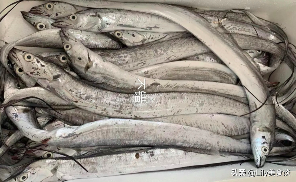 深海鱼有哪些，6种海鱼营养介绍？