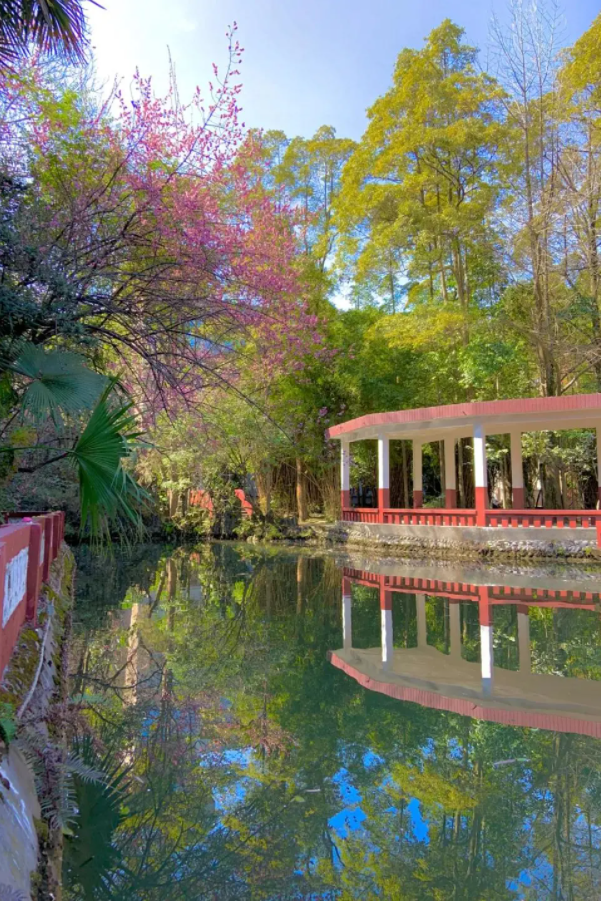 成都，大学校花来了！