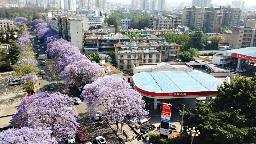 什么是快乐星球（什么是快乐星球？）