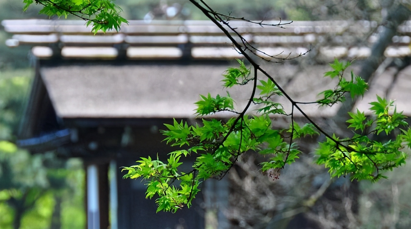 “风微烟满路，云渺水连天”——一首好律诗，要注意整体风格统一