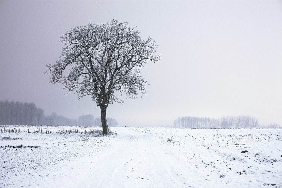 大雪时节，雨雪霏霏