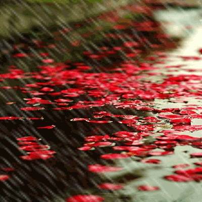 十二首著名的春雨诗词，关于雨的古诗词