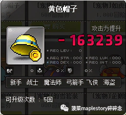 冒险岛宠物相关知识科普