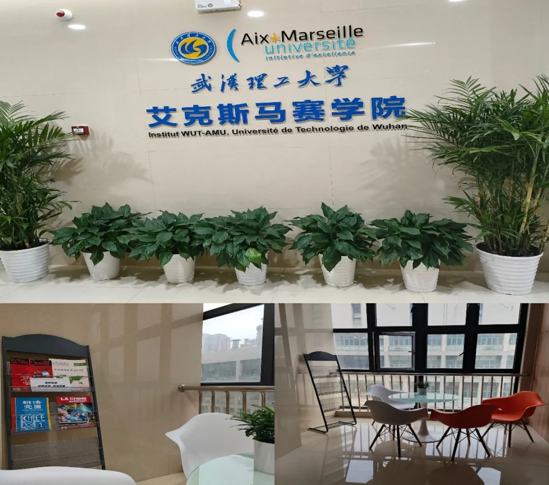 艾克斯-马赛大学：法国外省大学TOP1