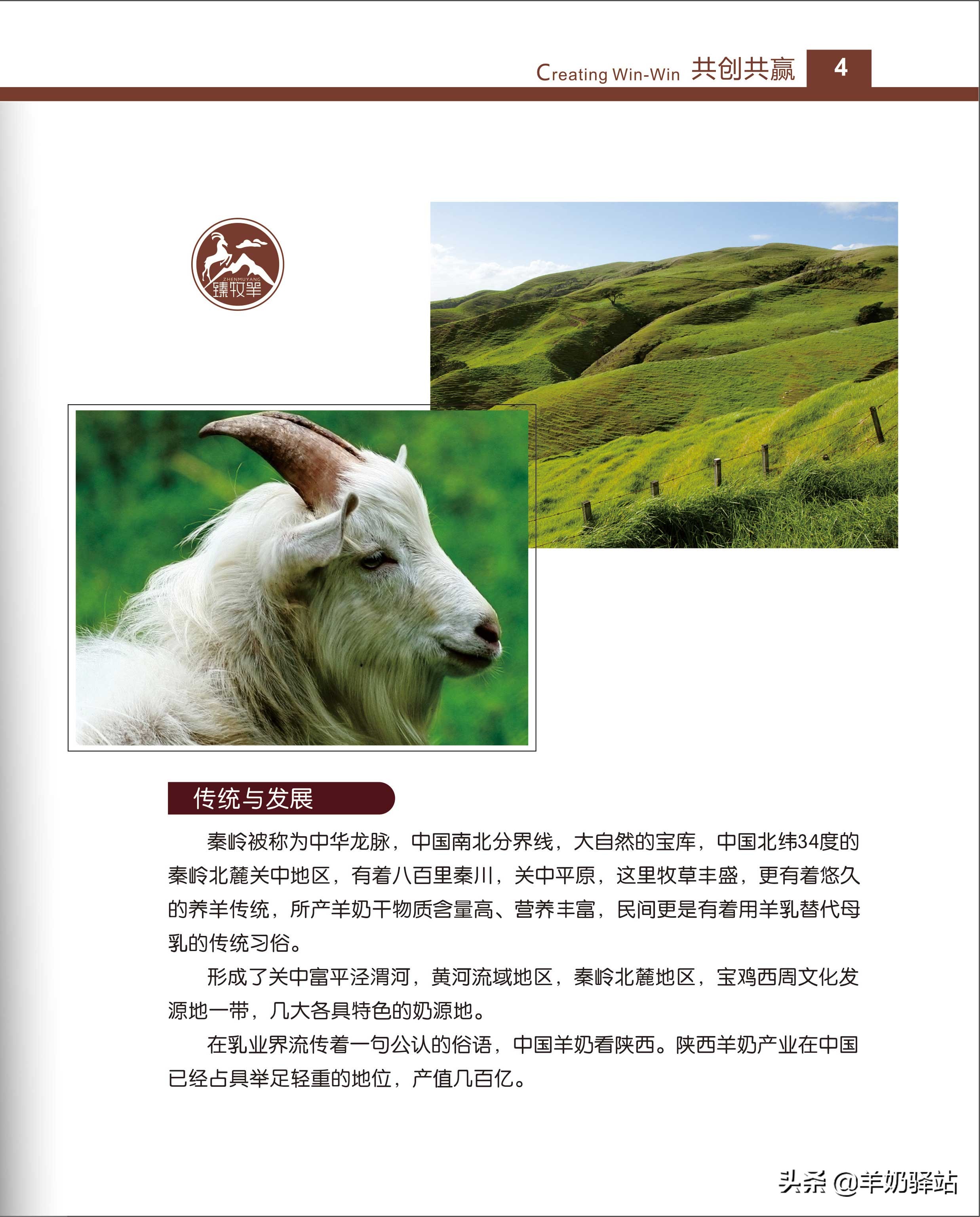 投资几万元，盈利几十万！羊奶驿站全国连锁加盟项目招商说明