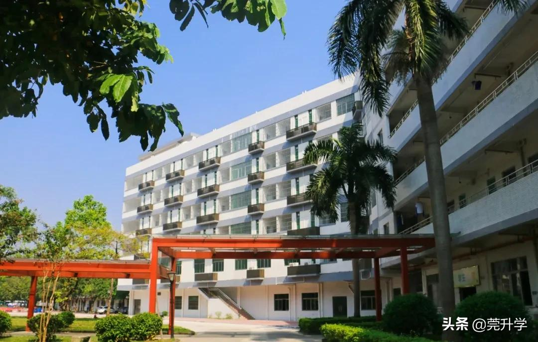 去年首次招生的7所高中汇总，500分就能上东华松山湖高级中学？