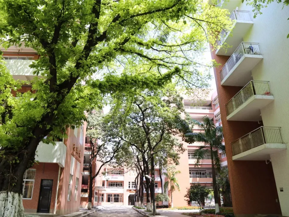 广州高中宿舍大揭秘，快来看看哪所环境最好，住得最舒服？