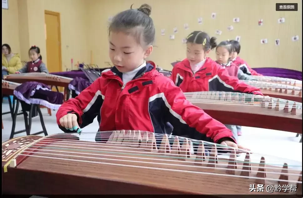 插班生招生！观山湖培文学校三至六年级招生来袭！