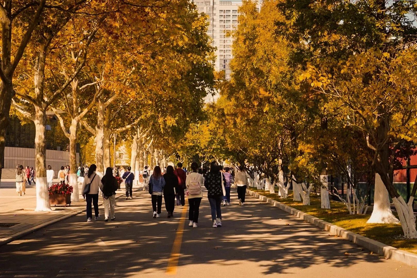 遼寧省普通高等院校(二十)大連民族大學