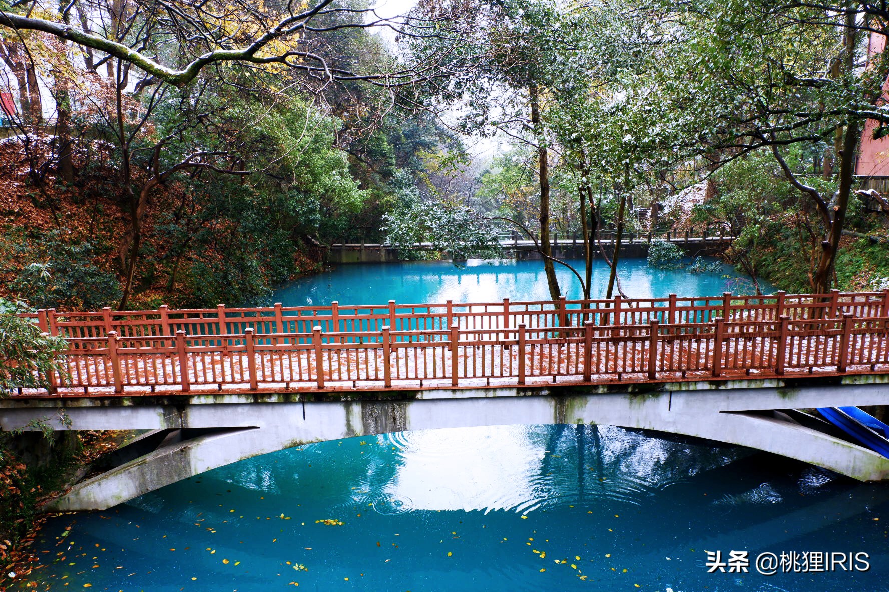 探秘钱塘江畔浙大神秘校区，是百年历史，是青春洋溢，是岁月静好