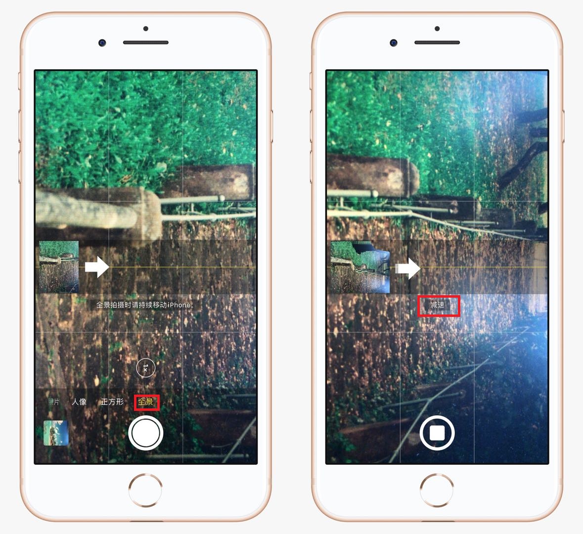 用苹果手机拍照,不开启这5个功能,难怪你拍的照片不好看