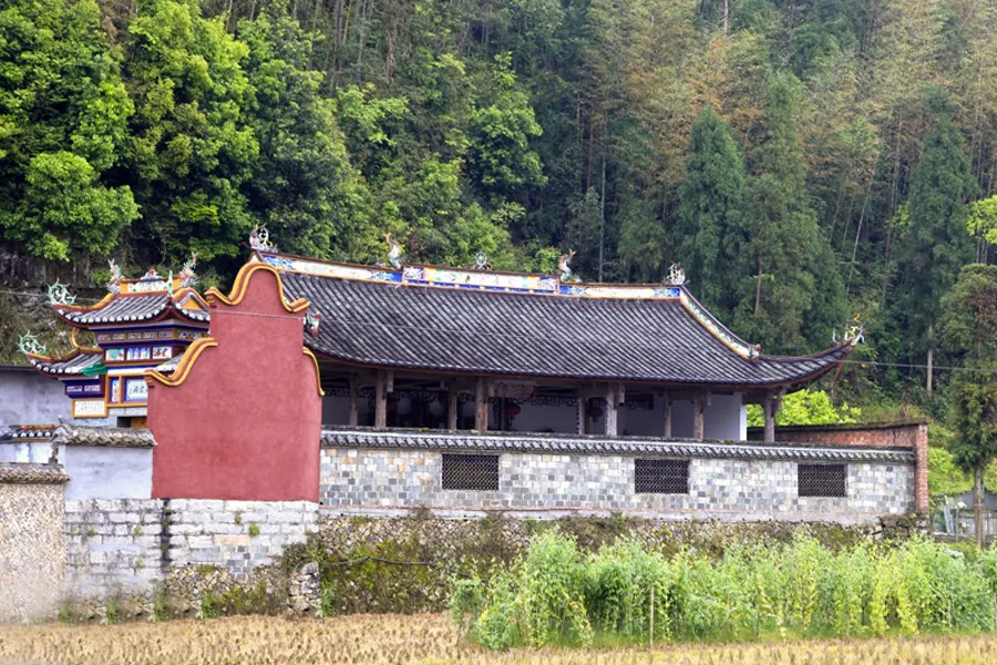 你姓什么，你的根就从哪儿来