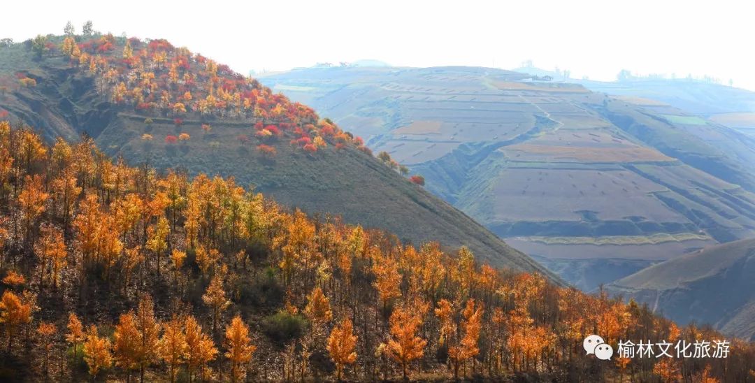 佳县旅游十大景点（榆林这10个低调绝美的村落）