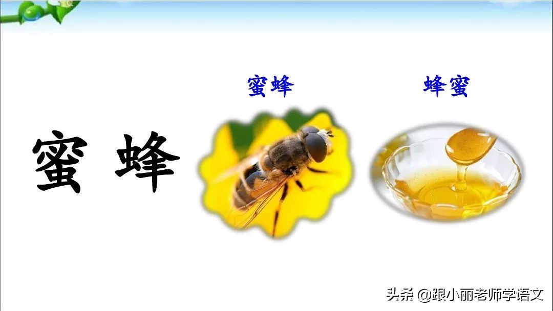 足球像什么的比喻句有的有的有的(部编二年级语文（上册）《语文园地五》图文讲解 知识点梳理)