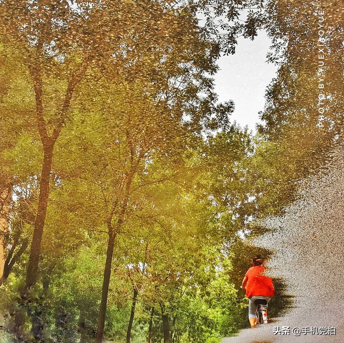 普通身边景，手机拍出新感觉｜教你5招拍好“镜像”画面
