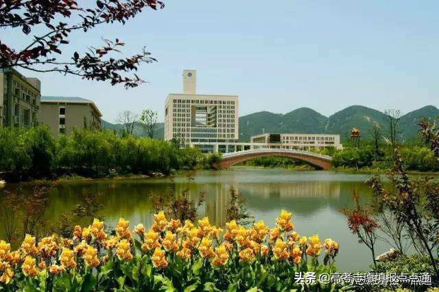 重庆师范大学优势专业分析及2019、2018、2017年各省录取分数线