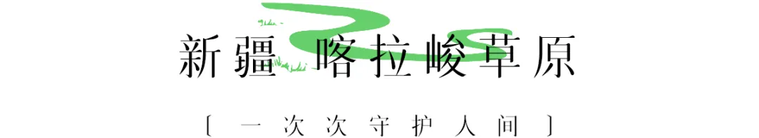 六月，要去草原打个滚