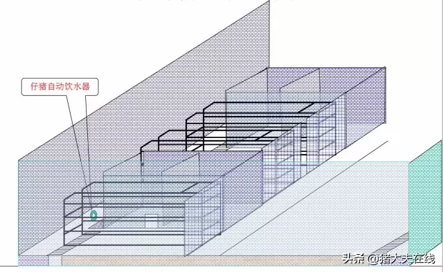 养猪场设计（楼房养猪场结构设计）-第7张图片