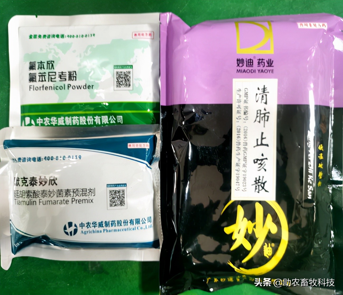猪场10种常见疾病的症状以及用药防治方案