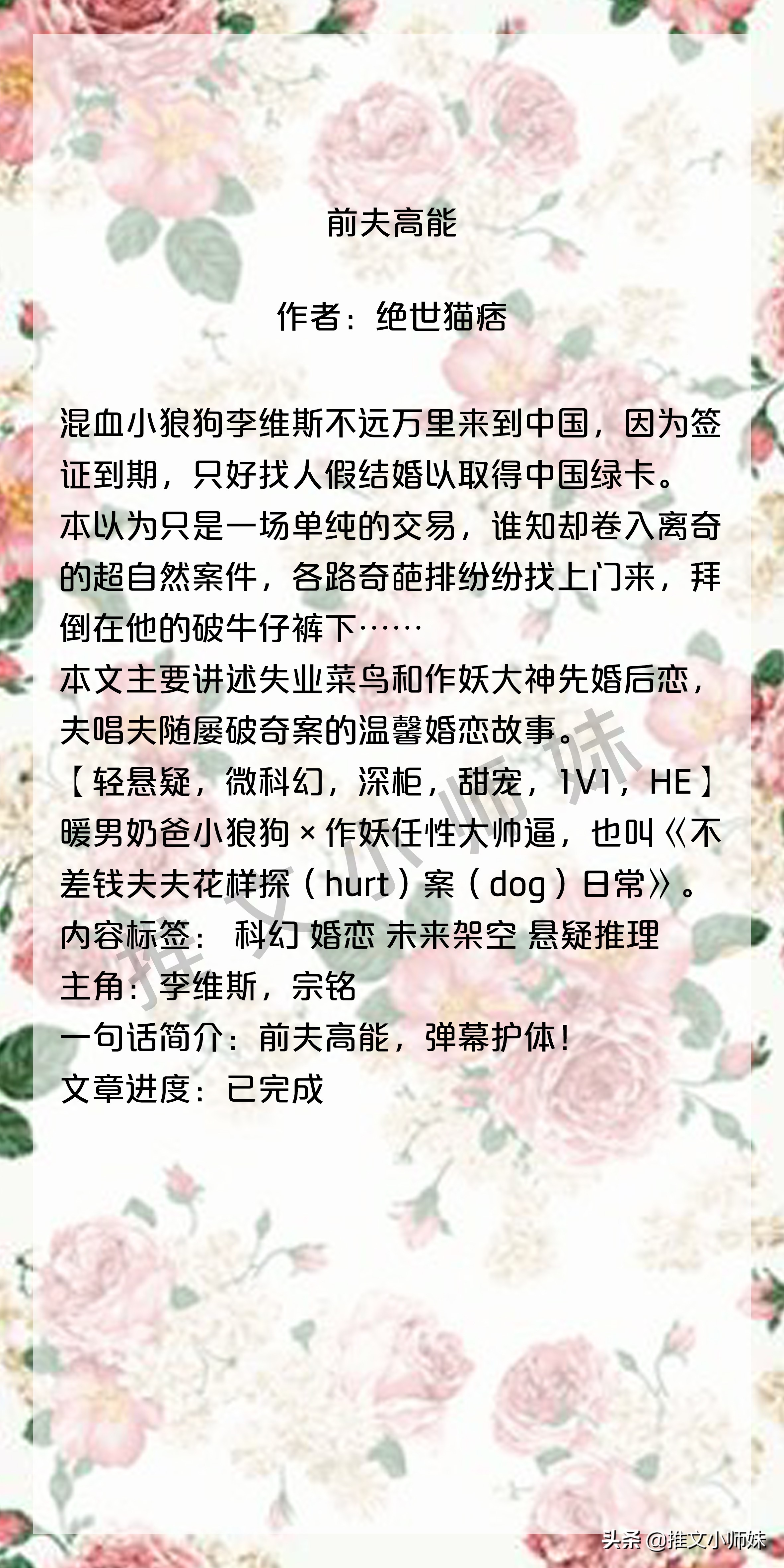 断头安利！不要因为名字而错过的小说，《全球高考》并肩炸考场