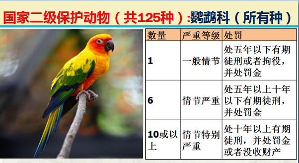 国家保护动物分几个等级（125类二级野生保护名录）