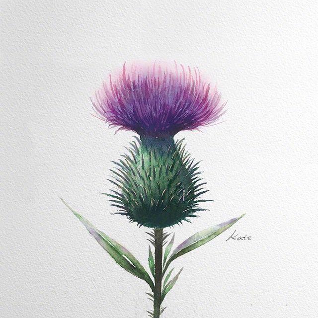 80后女人的人生感悟说说，句句金玉良言！