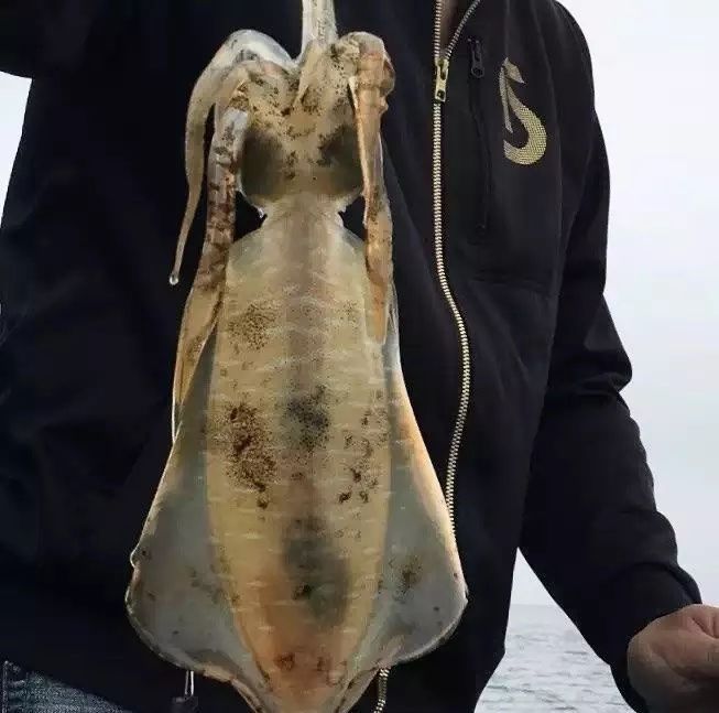 深圳海边游，你去过几个？深圳还有这些景美人少的海滩等你来打卡