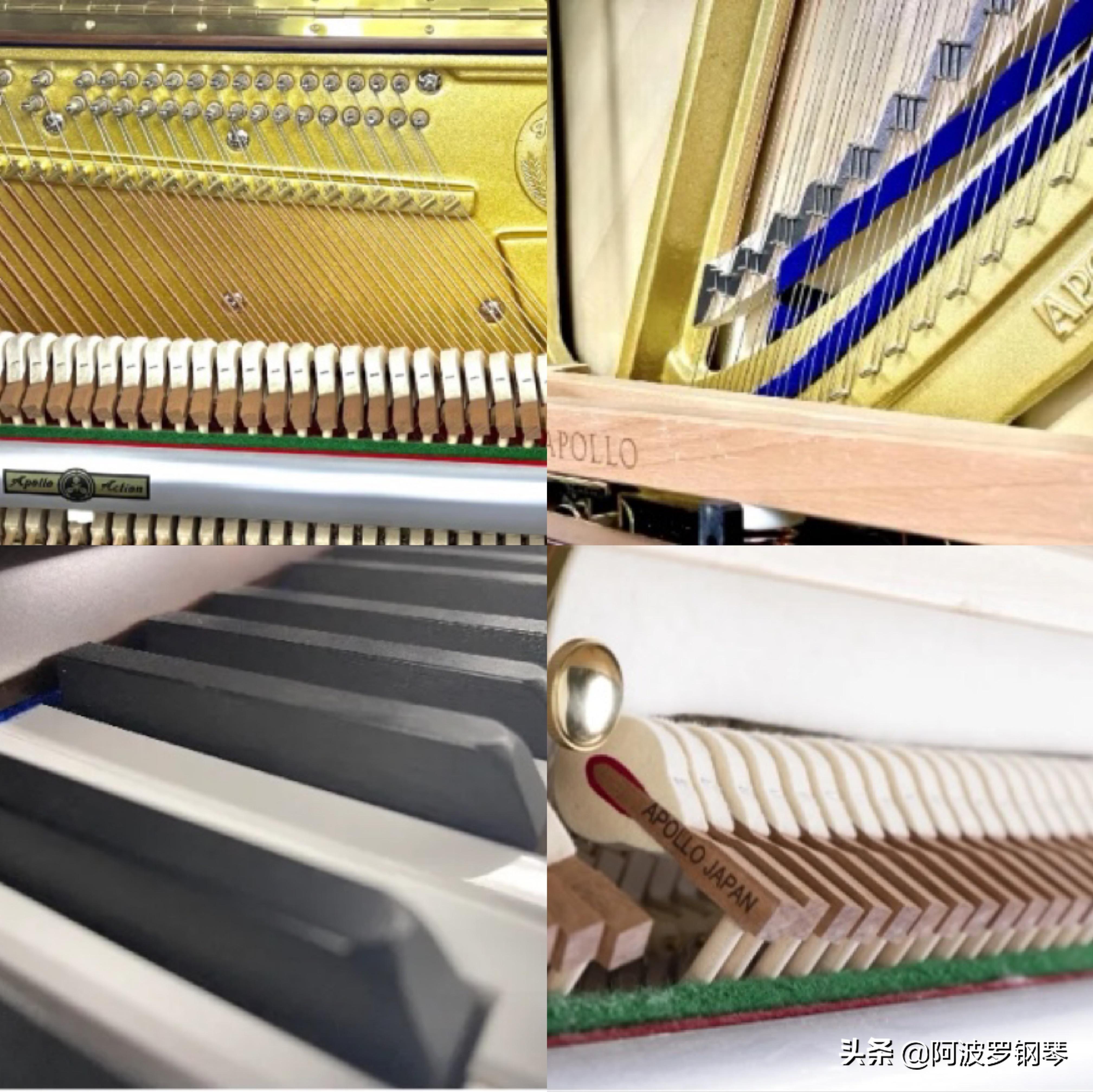 选择APOLLO钢琴的十大理由~总有一个让你心动