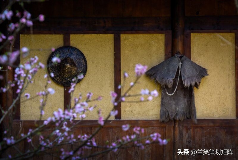 诗情桃花源 | 此生，只为你盛开这朵桃
