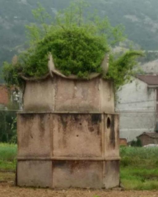 晚清时期的婴儿塔，简直惨不忍睹，堪称封建时期下婴儿的屠宰场