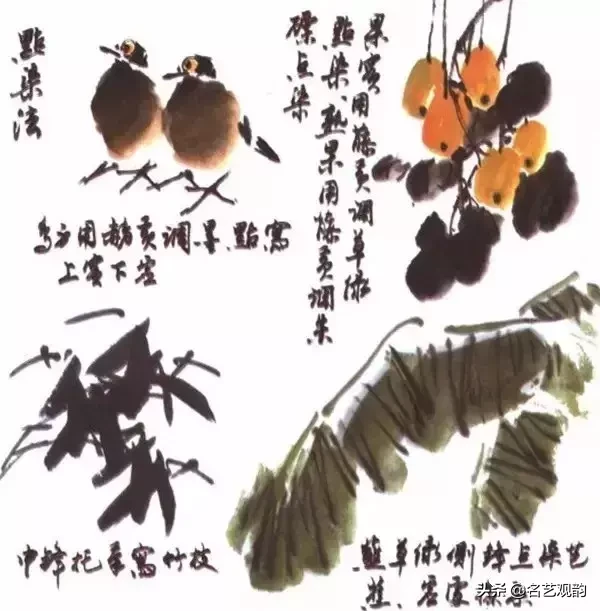 国画技法 | 写意花鸟画色彩技法详解之染色方法