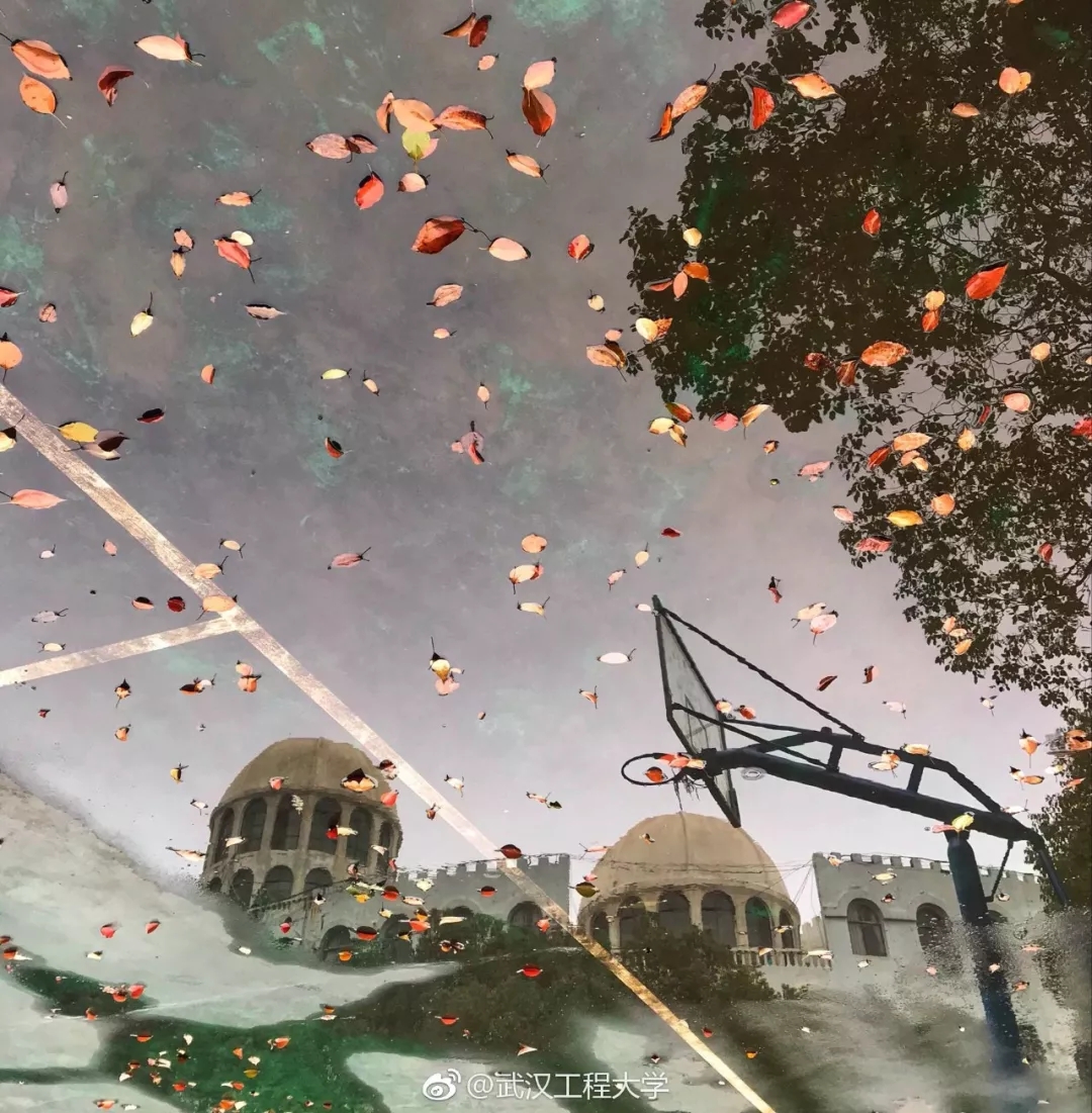 今天520！看完湖北这场