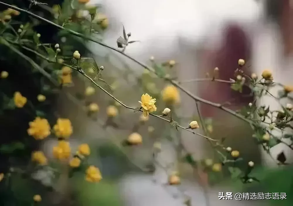 做人，要有骨气；做事，要有担当