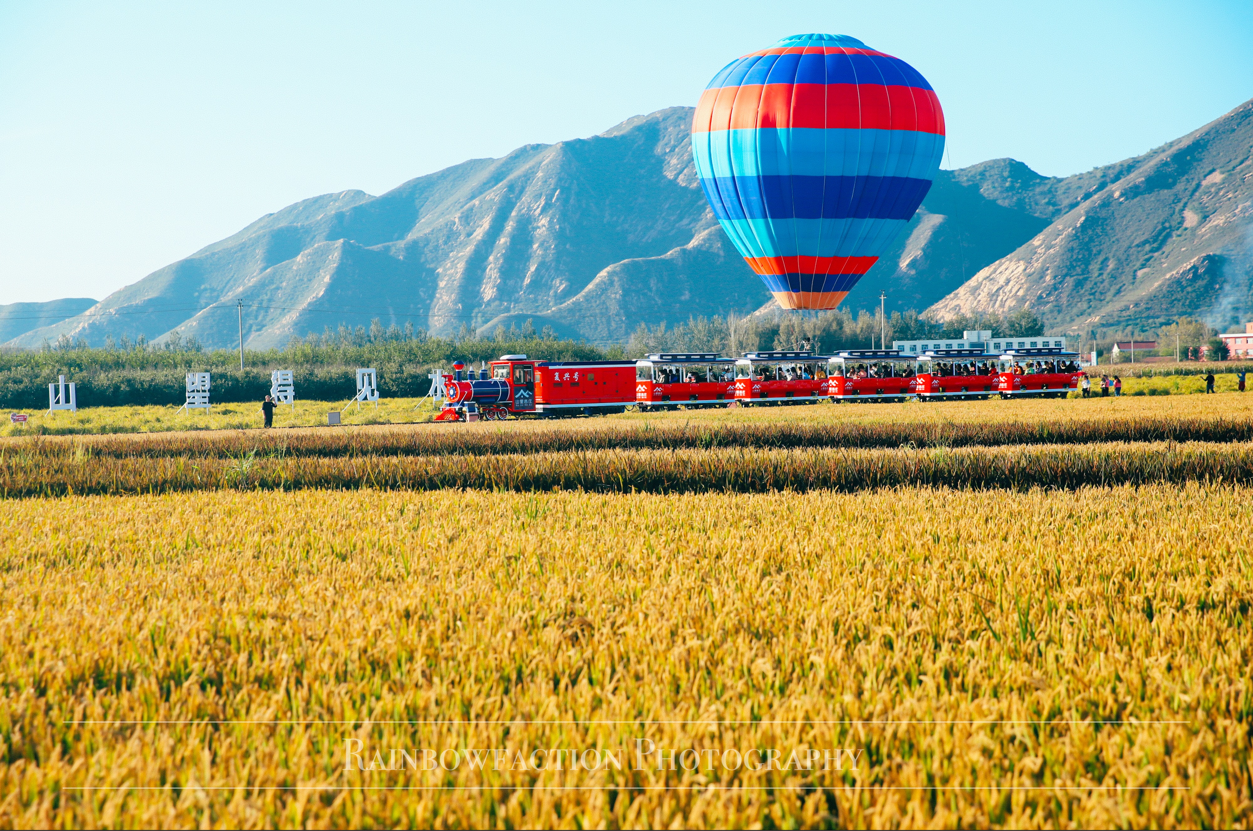 北京出发2小时，超美稻田免费玩～再不去后悔一年