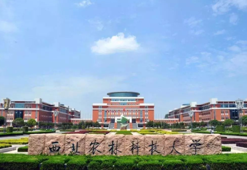 985大学“重新洗牌”，北京大学实至名归，西安交大表现亮眼