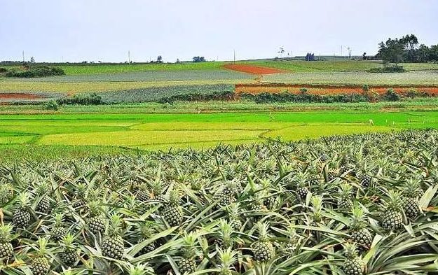 斯诺登是美国自导自演的骗局吗？