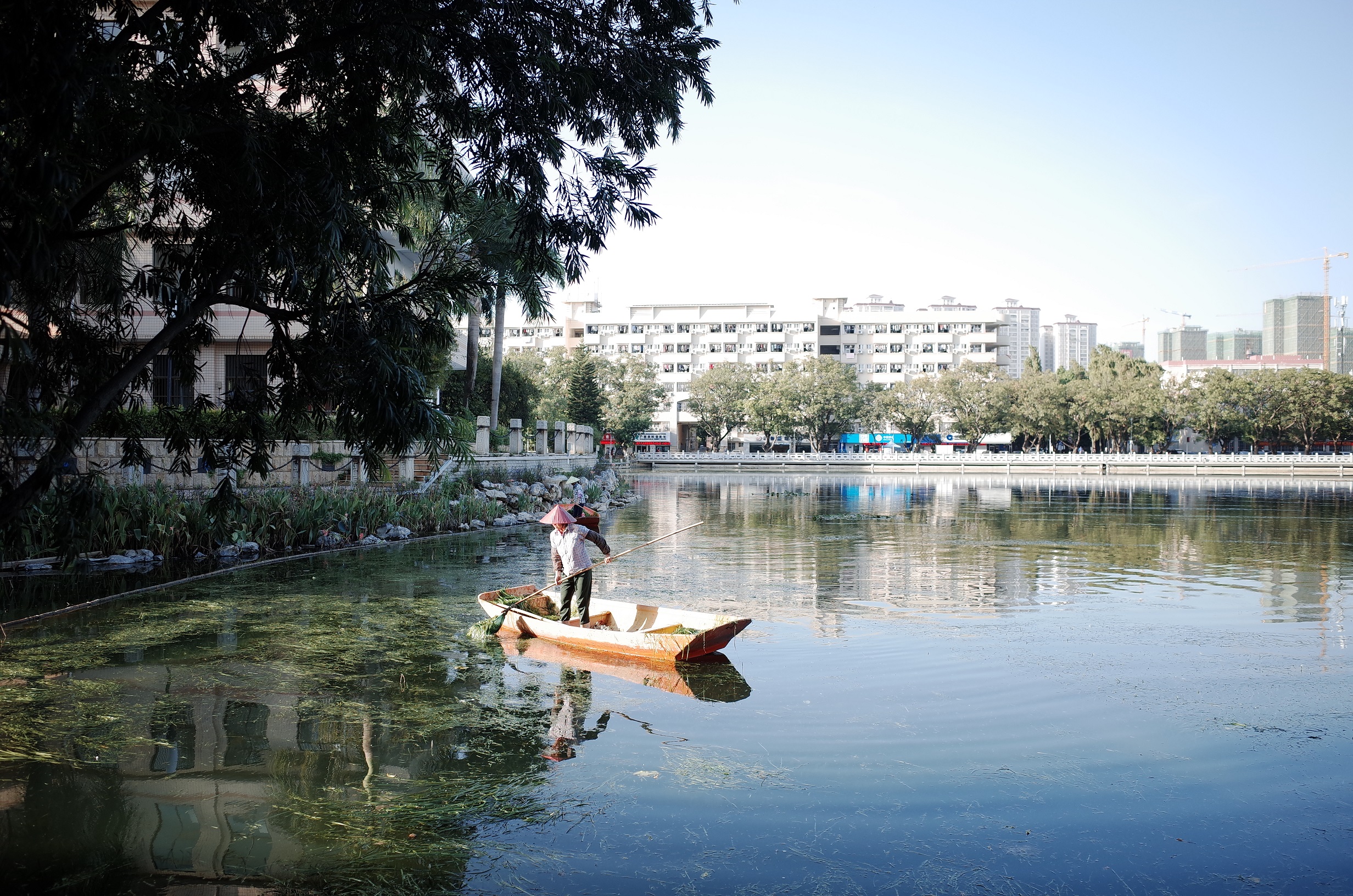 广西大学欢迎您——诚邀英才，同心筑梦