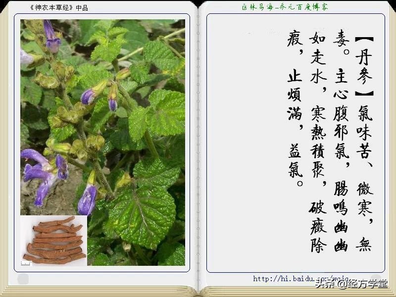 《神农本草经》全册图文解析 建议收藏