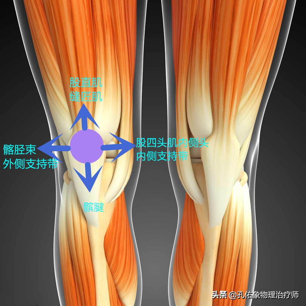 膝盖以下腿酸软无力看什么科(上下楼时膝盖疼痛打软腿，教你简单判断是啥问题？并给出治疗方案)